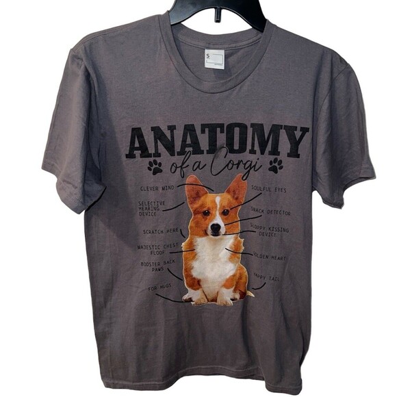 Anatomy of a Corgi Shirt Mens Size Small Fitted T Shirt Grey Funny Dog Graphic - Picture 1 of 5